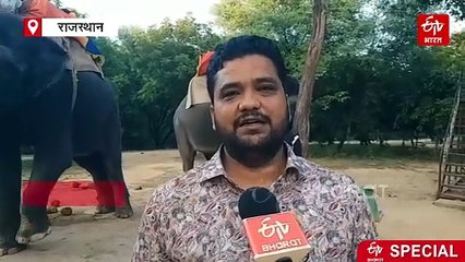 जयपुर का हाथी गांव, "शाही" सवारी के लिए फेमस