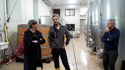 Trentodoc Festival, l'assessora Zanotelli incontra i produttori