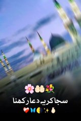 Muhabbat Se Bhara Daman, Dilon Mein Ada Rakhna | Islamic Naat Status Video