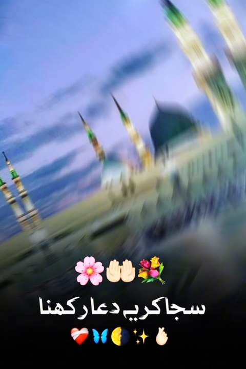 Muhabbat Se Bhara Daman, Dilon Mein Ada Rakhna | Islamic Naat Status Video