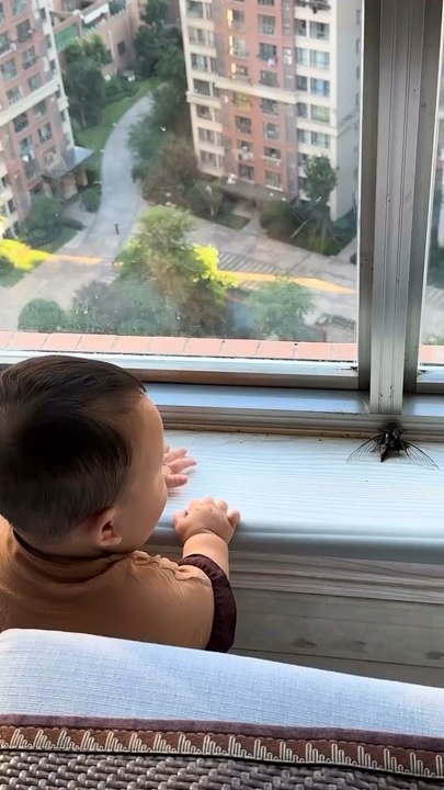 fearless 😱😱😱😱