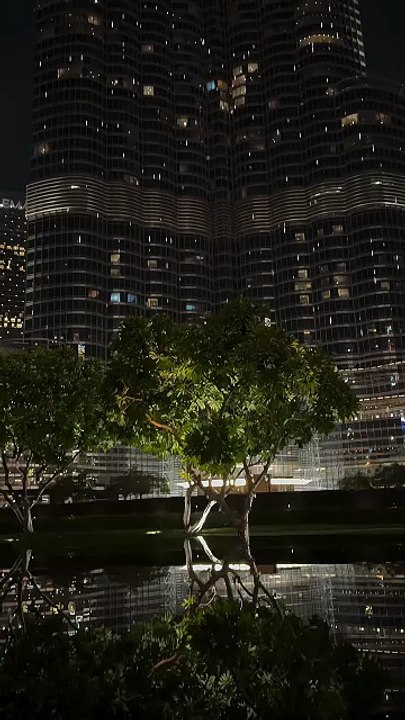 Dubai night view