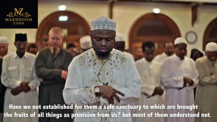 Best Quran Recitation