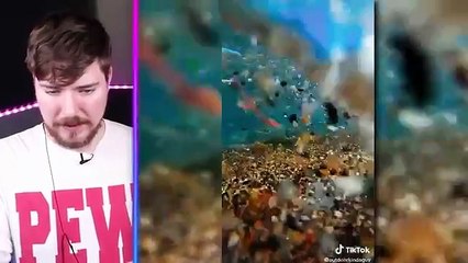 MrBeast Reacts 😂😂😂