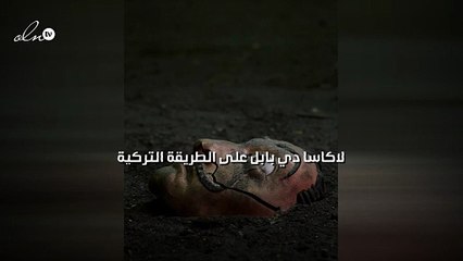 لاكاسا دي بابل على الطريقة التركية