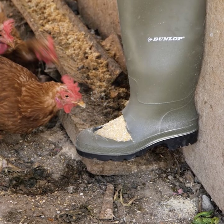 our chickens will thank you for these 🐓🙌 #diy #farmlife #tips #gadgets #fyp