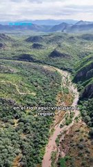 Lluvias benefician a Sonora