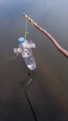 Wow perangkap botol ikan dapat banyak#fish