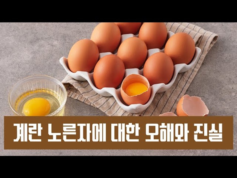 계란 노른자에 대한 오해와 진실[김대성의 아아 그렇군요]