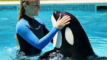 Jessica Radcliffe and a baby orca swimming together in a swimming pool