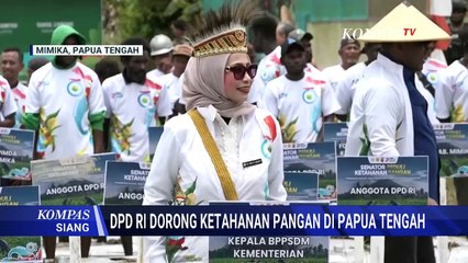 Senator Peduli Ketahanan Pangan di Papua Tengah | KOMPAS SIANG