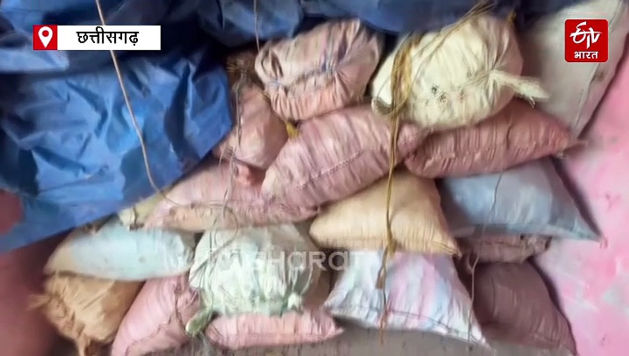 कोरिया में वन तस्कर गिरोह सक्रिय, सोनहत वन क्षेत्र से लोध छाल की बड़ी खेप बरामद