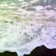 Energie solaire et Agriculture