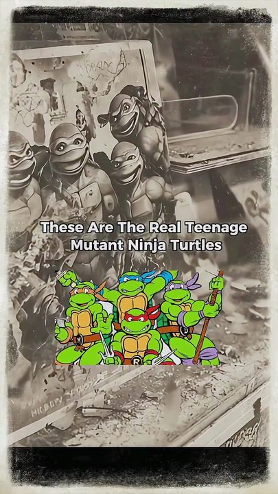 Real Ninja Turtles