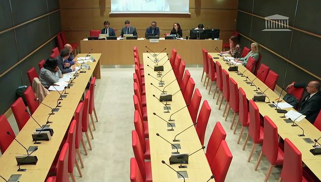 Accès à une justice adaptée aux besoins ultramarins : Auditions diverses - Lundi 29 septembre 2025