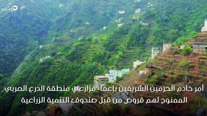 أمر ملكي بإعفاء مزارِعي جازان من قروض بقيمة 91 مليوناً