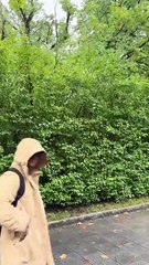 Zet Mois ist unterwegs Teil 2