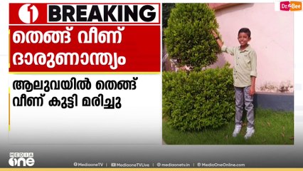 ആലുവയിൽ തെങ്ങ് വീണ് കുട്ടി മരിച്ചു