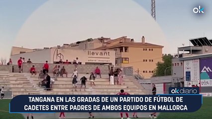 Tangana en las gradas de un partido de fútbol de cadetes entre padres de ambos equipos en Mallorca