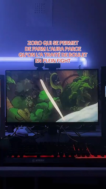 ZORO QUE DIRE IL EST JUSTE TROP FORT