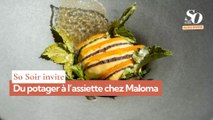 So Soir vous invite : du potager à l’assiette chez Maloma