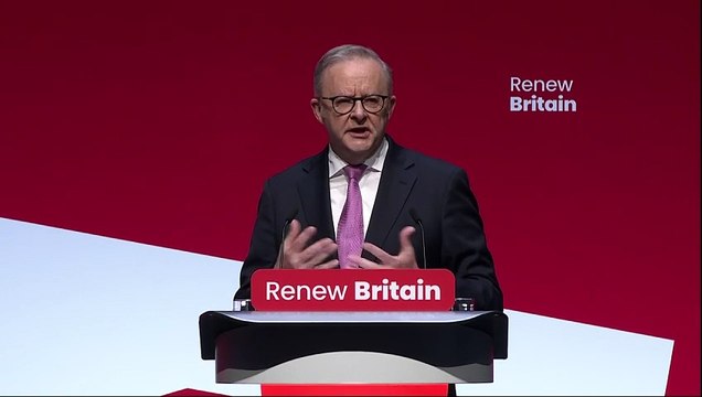 Albanese: We're aiming for two-state solution in Gaza