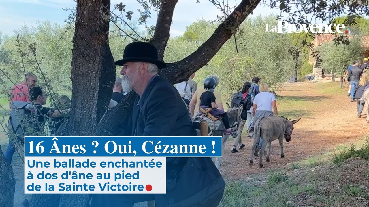 16 Ânes ? Oui, Cézanne ! Une ballade enchantée  à dos d'âne au pied  de la Sainte Victoire
