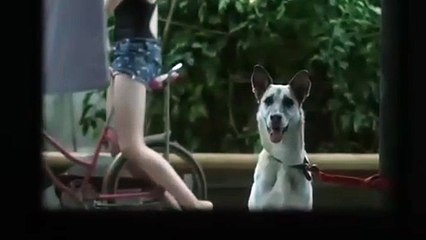 Romance Comedy | The Private Lesson | Old is Gold | Movies4fun