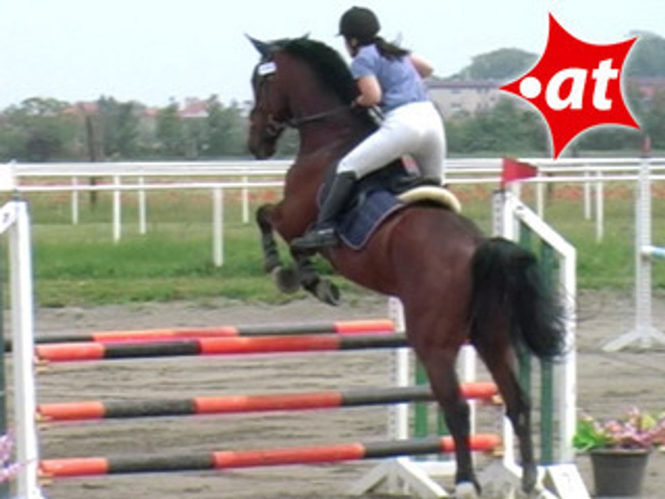 Sabrina Winkler, Springreiten, Kottingbrunn (2008-008)