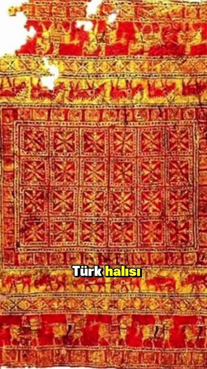 Turk halisi