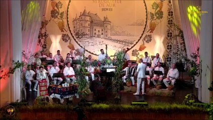 Andreea Feraru - Zorile (Festivalul National „Strugurele de aur” - Blaj - 04.09.2025)