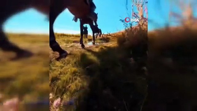 Van’da atlı jandarmalar sahada! Tarihi miras ve doğa için nöbetteler