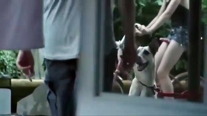 Best Hot Drama | Full Movie HD |American Terror Tales 3 | Movie4fun