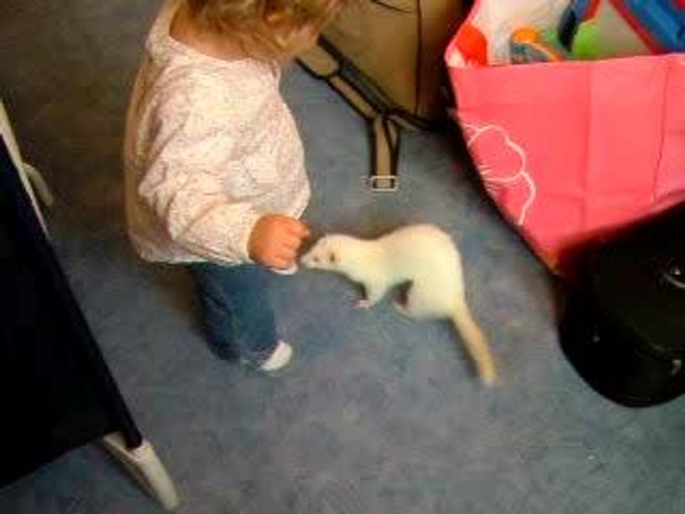 Mélia et Wendy le furet
