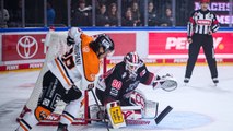 Erster Heimsieg: Kölner Haie schlagen Wolfsburg Grizzlys 4:2