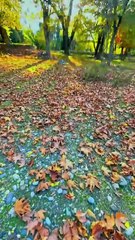 Greens valley North ears pk