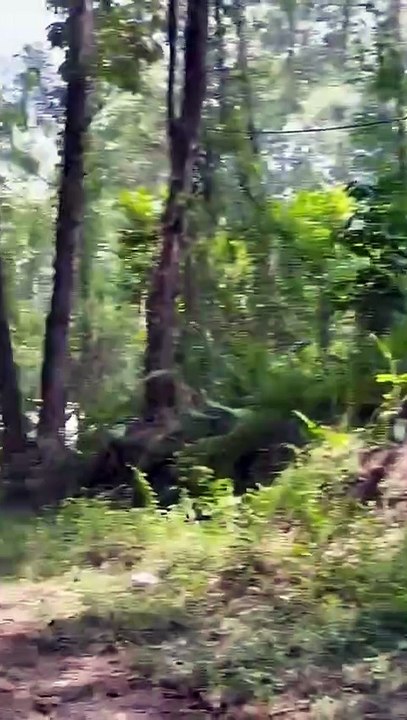 SENPA asume supervisión de seguridad en Loma Miranda por disposición del Ministro de Defensa