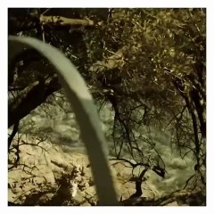 قطع كلاسيكية ستناسب أجواء الصيف الحارّة في منطقة الخليج