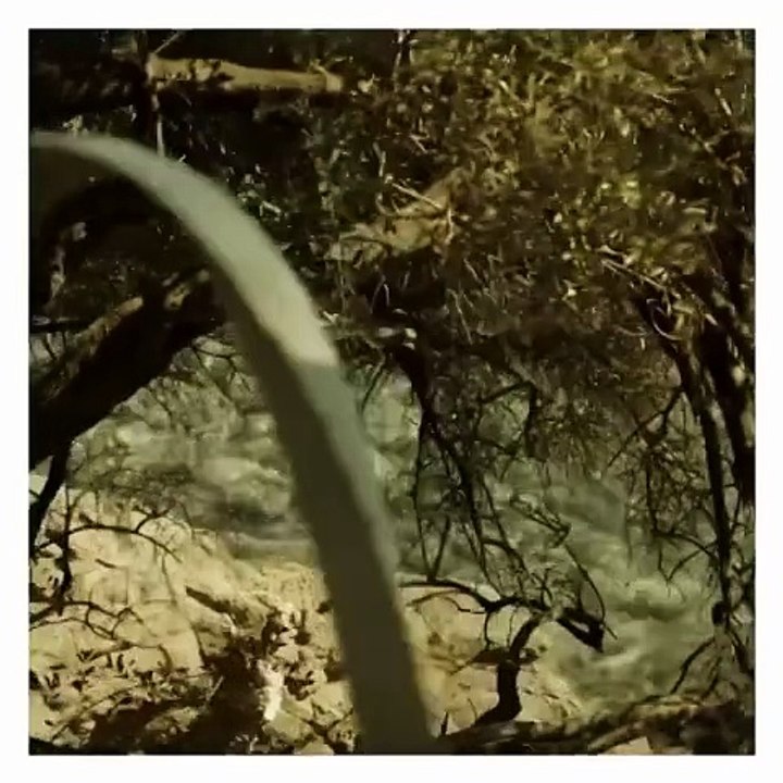 قطع كلاسيكية ستناسب أجواء الصيف الحارّة في منطقة الخليج