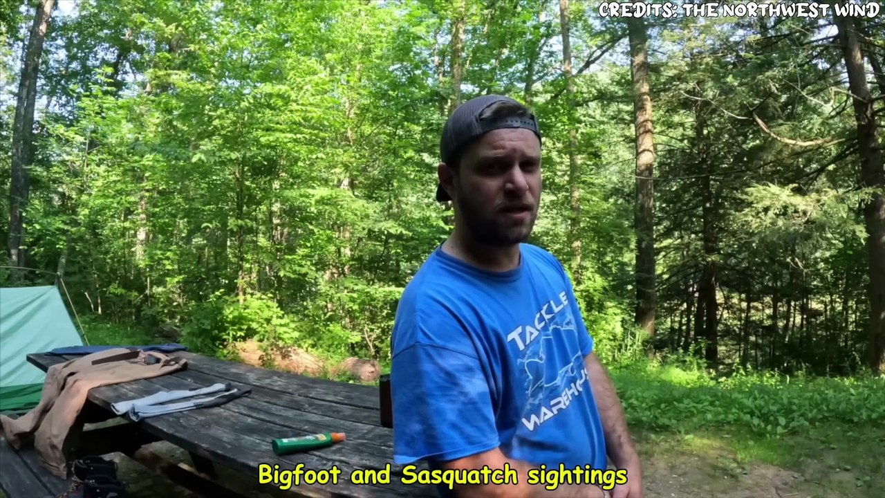 6 Terrifying Camping Encounters Caught on Camera