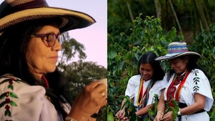 Mujeres que inspiran: una bióloga indígena transformó la Sierra Nevada con su emprendimiento
