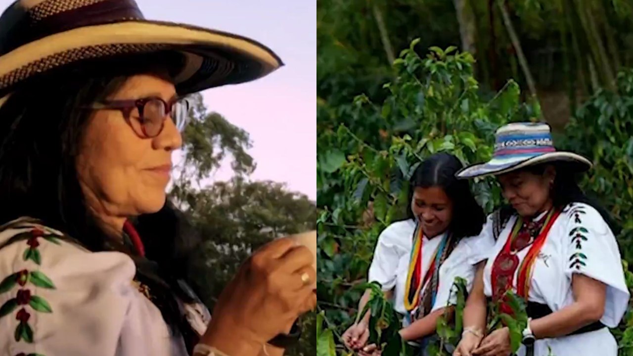 Mujeres que inspiran: una bióloga indígena transformó la Sierra Nevada con su emprendimiento