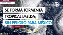 Tormenta tropical Imelda se forma cerca de Florida; no representa peligro para México