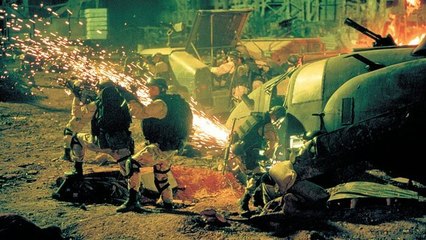 La chute du Faucon noir