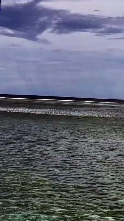 This is Epic! Forget Waders, We Need Fishing Boats for This Many Fish!