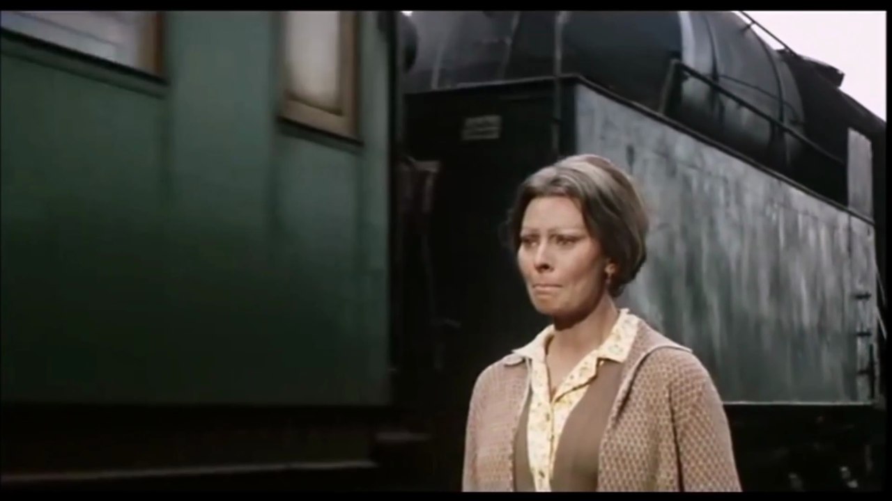 Sunflower　 『ひまわり』　ヘンリーマンシーニ　（尺八ふいてみた）尺八かいどう　shakihachi kaidou　かいどう　【魁道】　