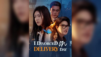 I Divorced On Delivery Day (DUBBED)