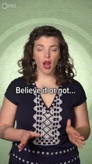 Can You Make a Living as a Content Creator- #money #contentcreator #youtubemonetization