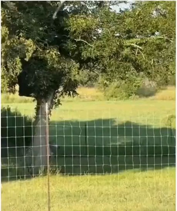 Next level looks challenging