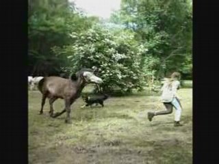 Ramses stick too mi au champs ==  mai